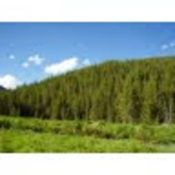 Meet your Posher, Anna - Picture 1 of 1